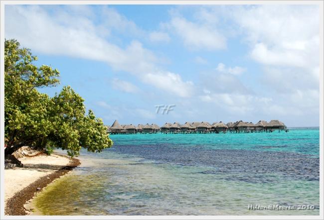 Moorea007.JPG